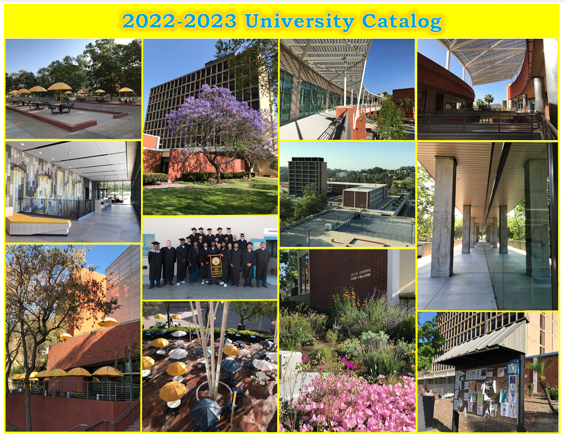 catalog cover