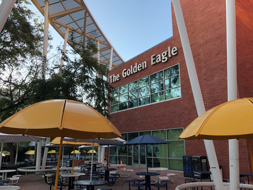 golden eagle